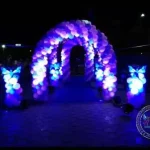 Butterfly Theme