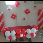 Red And White Theme
