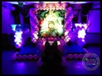 Butterfly Theme - Image 2