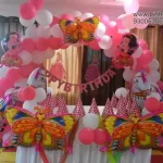 Butterfly Theme Birthday Party